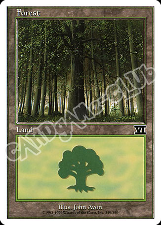 349 / 350 Forest comune (EN) -NEAR MINT-