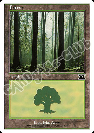 350 / 350 Forest comune (EN) -NEAR MINT-