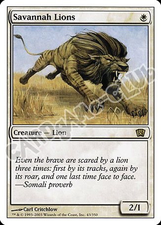 043 / 350 Savannah Lions rara (EN) -NEAR MINT-