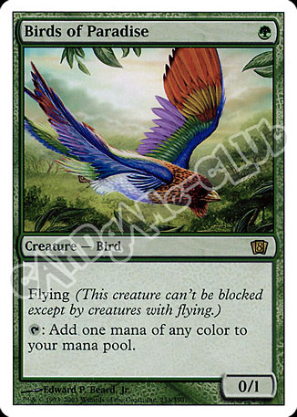 233 / 350 Birds of Paradise rara (EN) -NEAR MINT-