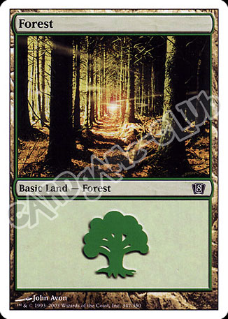 347 / 350 Forest comune (EN) -NEAR MINT-