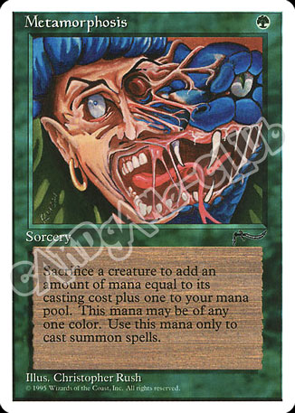 Metamorphosis comune (EN) -NEAR MINT-