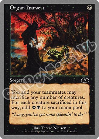 Organ Harvest comune (EN) -NEAR MINT-
