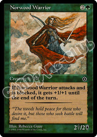 Norwood Warrior comune (EN) -NEAR MINT-