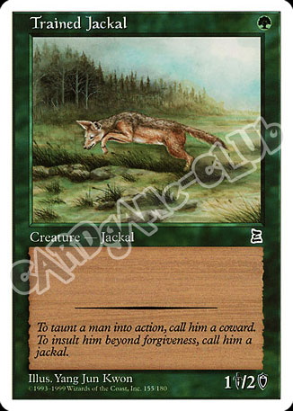 Trained Jackal comune (EN) -NEAR MINT-