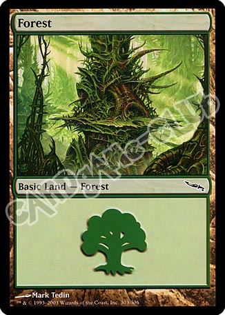 303 / 306 Forest comune (EN) -NEAR MINT-