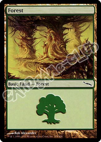 304 / 306 Forest comune (EN) -NEAR MINT-