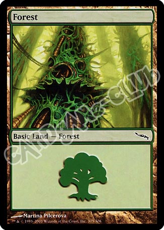 305 / 306 Forest comune (EN) -NEAR MINT-