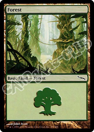 306 / 306 Forest comune (EN) -NEAR MINT-