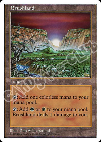 Brushland rara (EN) -NEAR MINT-