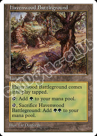Havenwood Battleground non comune (EN) -NEAR MINT-