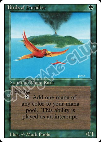 Birds of Paradise rara (EN) -NEAR MINT-