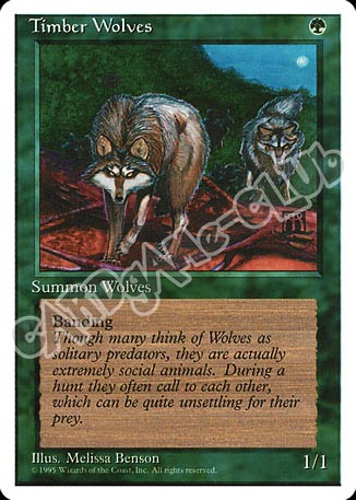 Timber Wolves rara (EN) -NEAR MINT-