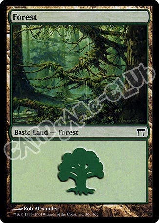 306 /306 Forest comune (EN) -NEAR MINT-