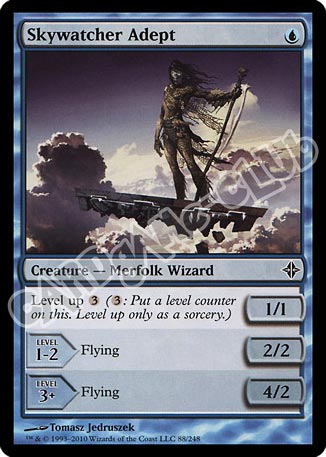 088 / 248 Skywatcher Adept comune (EN) -NEAR MINT-