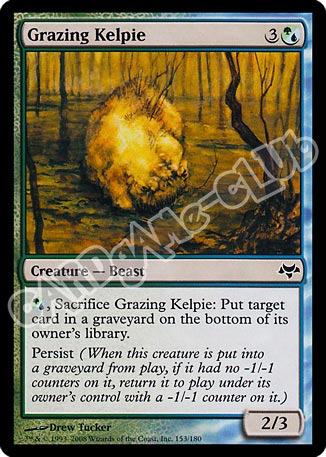 153 / 180 Grazing Kelpie comune (EN) -NEAR MINT-