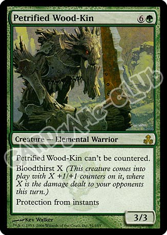 091 / 165 Petrified Wood-Kin rara (EN) -NEAR MINT-