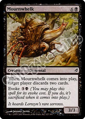 127 / 301 Mournwhelk comune (EN) -NEAR MINT-