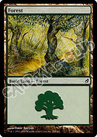 298 / 301 Forest comune (EN) -NEAR MINT-