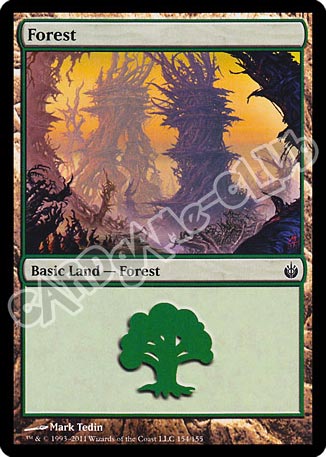 154 / 155 Forest comune (EN) -NEAR MINT-