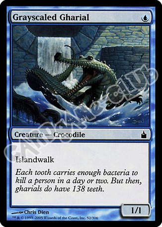 052 / 306 Grayscaled Gharial comune (EN) -NEAR MINT-