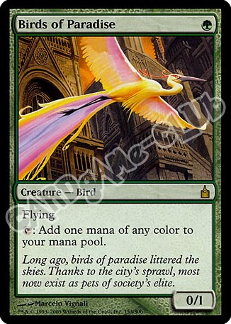 153 / 306 Birds of Paradise rara (EN) -NEAR MINT-