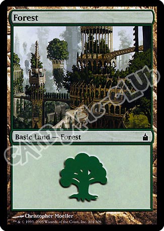 304 / 306 Forest comune (EN) -NEAR MINT-