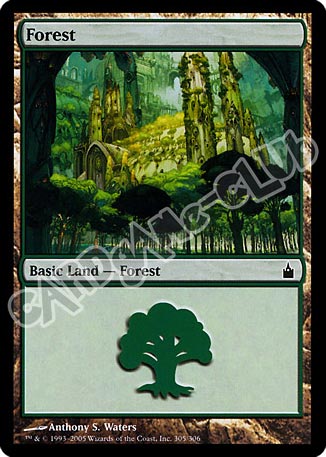 305 / 306 Forest comune (EN) -NEAR MINT-