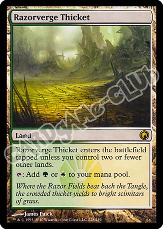 228 / 249 Razorverge Thicket rara (EN) -NEAR MINT-