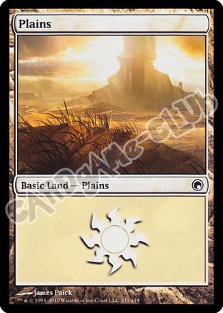 231 / 249 Plains comune (EN) -NEAR MINT-