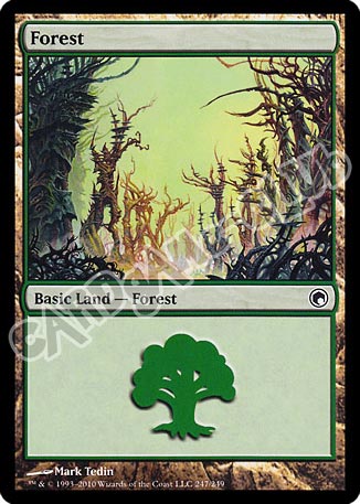 247 / 249 Forest comune (EN) -NEAR MINT-