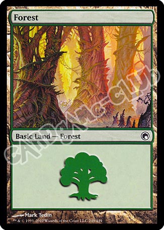 249 / 249 Forest comune (EN) -NEAR MINT-
