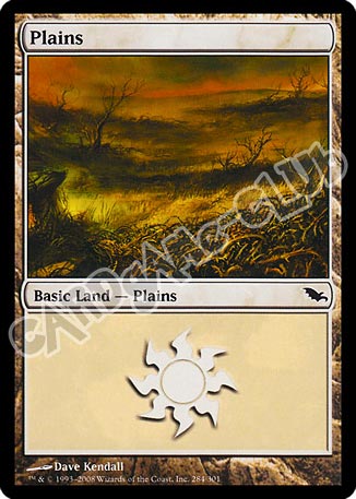 284 / 301 Plains comune (EN) -NEAR MINT-