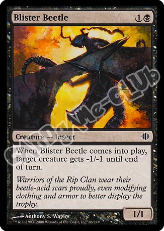 066 / 249 Blister Beetle comune (EN) -NEAR MINT-