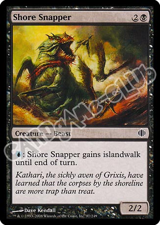 087 / 249 Shore Snapper comune (EN) -NEAR MINT-