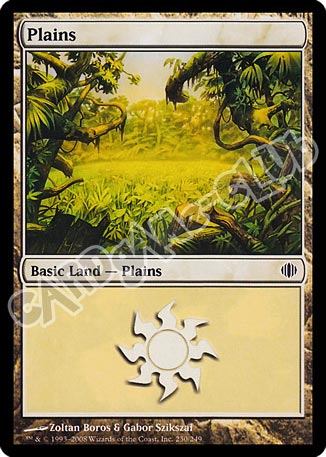 230 / 249 Plains comune (EN) -NEAR MINT-