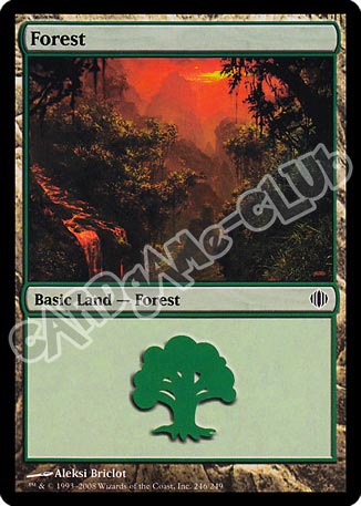 246 / 249 Forest comune (EN) -NEAR MINT-