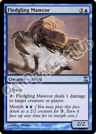 063 / 301 Fledgling Mawcor non comune (EN) -NEAR MINT-