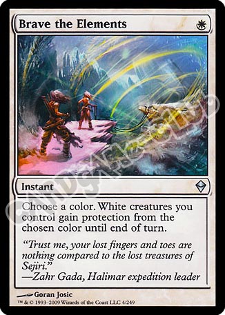 004 / 249 Brave the Elements non comune (EN) -NEAR MINT-