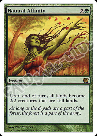 256 / 350 Natural Affinity rara (EN) -NEAR MINT-