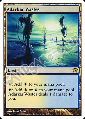 317 / 350 Adarkar Wastes rara (EN) -NEAR MINT-