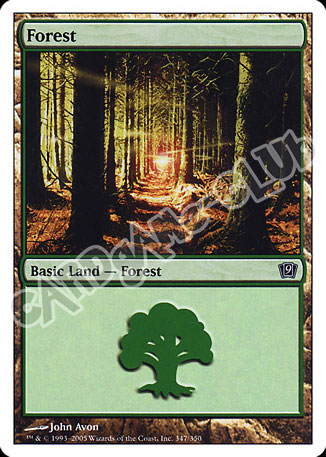 347 / 350 Forest comune (EN) -NEAR MINT-