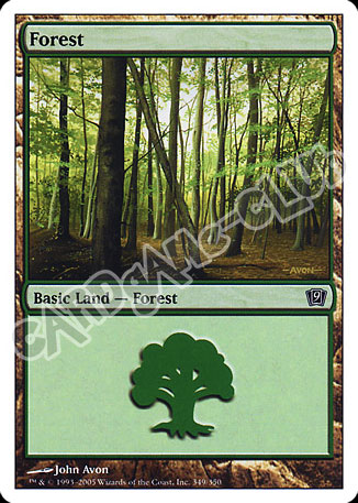 349 / 350 Forest comune (EN) -NEAR MINT-