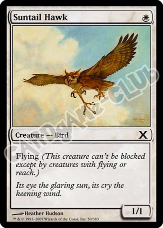 050 / 383 Suntail Hawk comune (EN) -NEAR MINT-