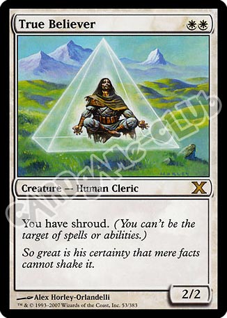 053 / 383 True Believer rara (EN) -NEAR MINT-