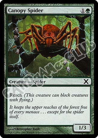 254 / 383 Canopy Spider comune (EN) -NEAR MINT-