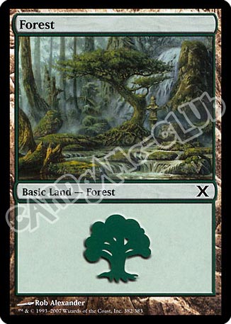 382 / 383 Forest comune (EN) -NEAR MINT-