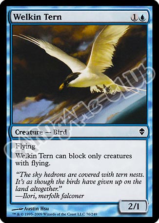 076 / 249 Welkin Tern comune (EN) -NEAR MINT-