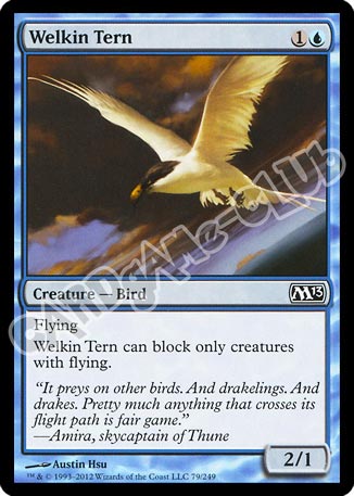 079 / 249 Welkin Tern comune (EN) -NEAR MINT-