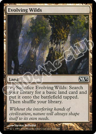 224 / 249 Evolving Wilds comune (EN) -NEAR MINT-
